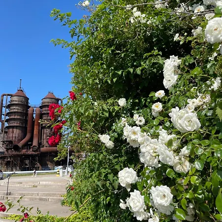 Fifejdy, Ostrava, Centrum アパート オストラヴァ
